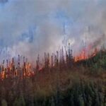 ‘Zombie Fires’ burning at an alarming rate in Canada